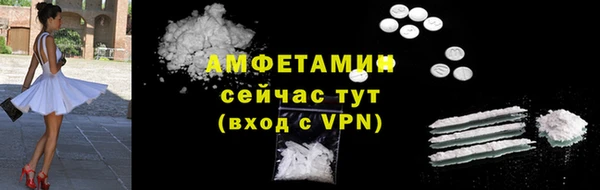 дмт Рославль