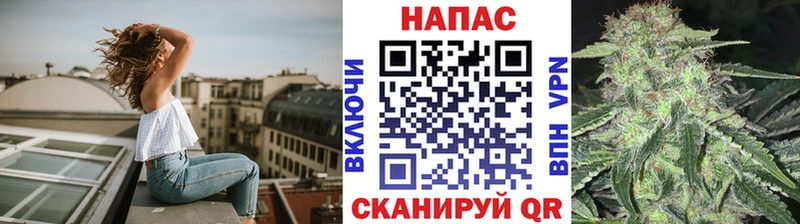 Марихуана Amnesia  Купить где  Болотное 